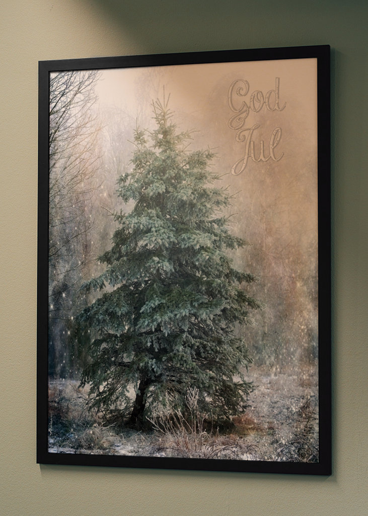 Le plus beau sapin de Noël