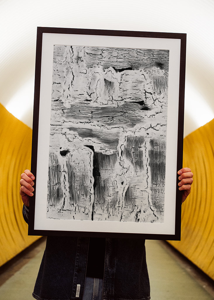 Abstract Artwork Greyscale #2 