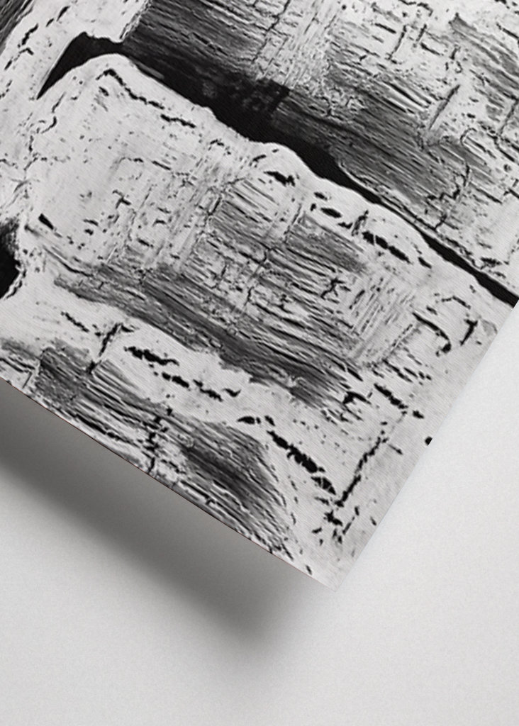 Abstract Artwork Greyscale #2 