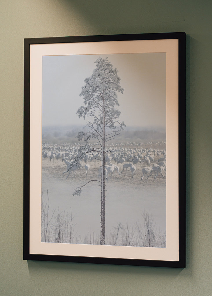 Warten auf den Frühling