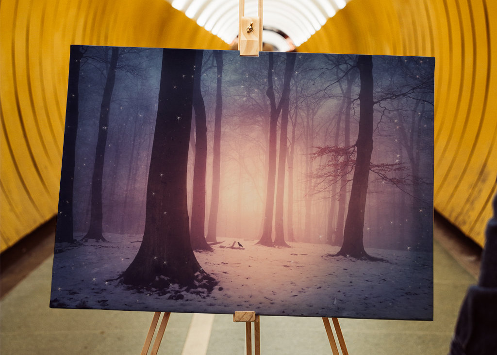 Bosco incantato in inverno