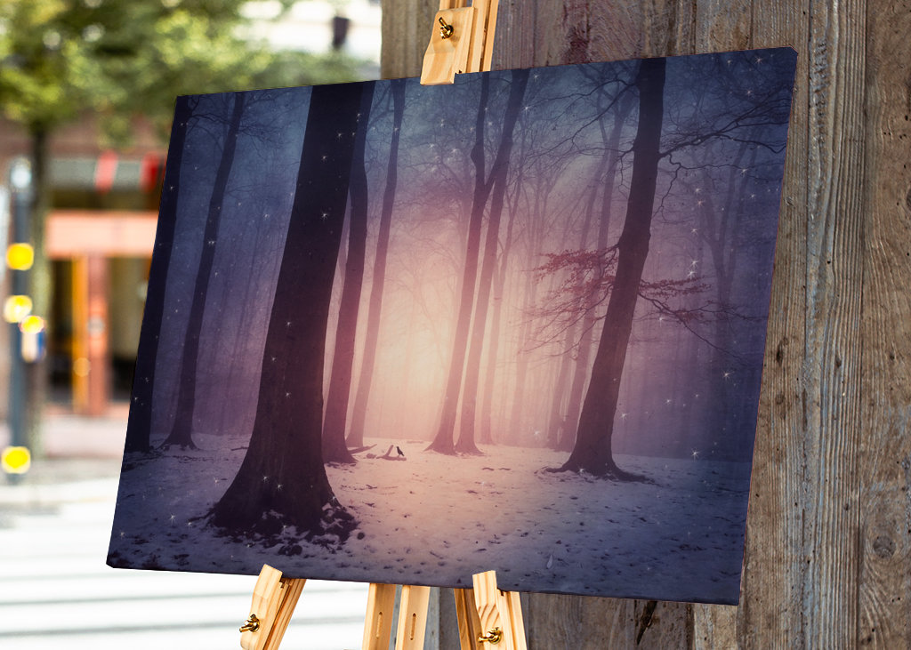 Bosco incantato in inverno