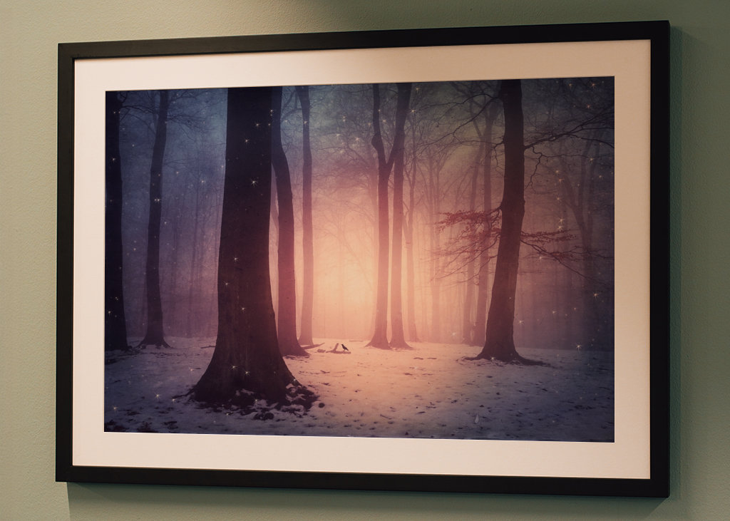 Bosco incantato in inverno