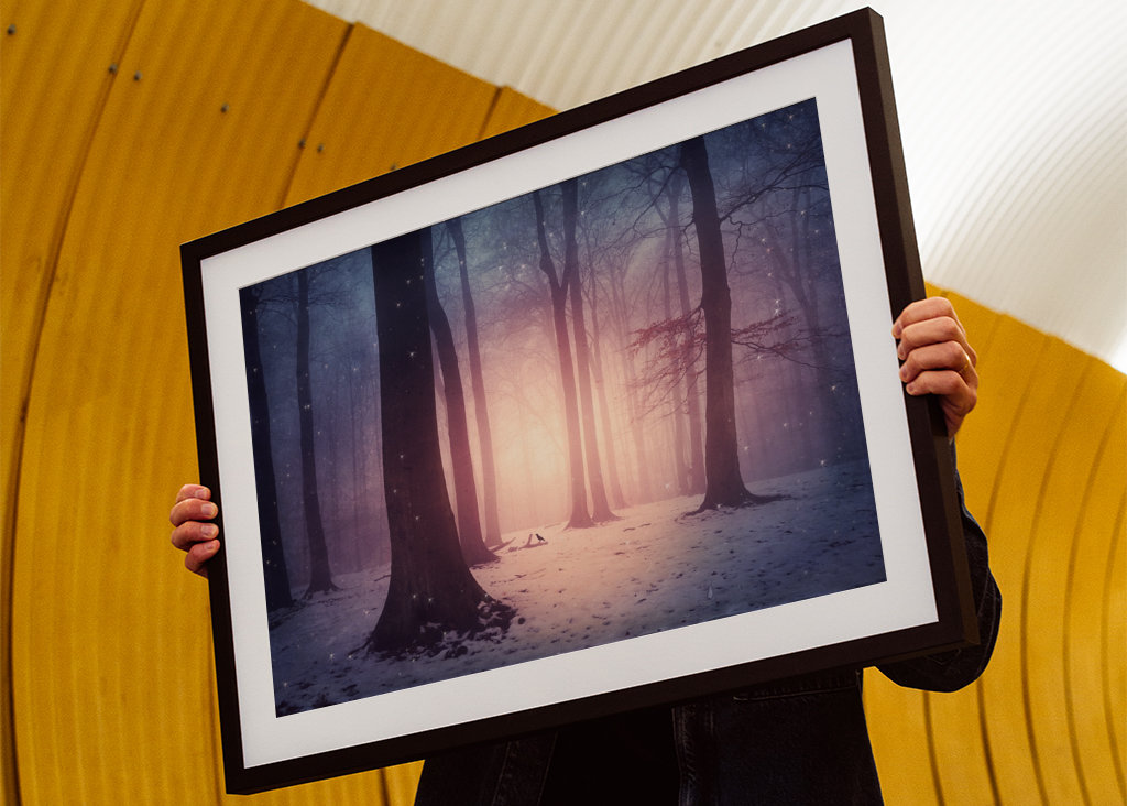 Bosco incantato in inverno