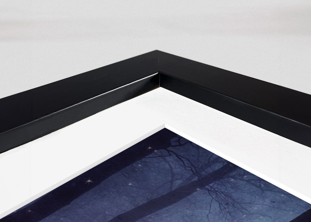 Bosco incantato in inverno