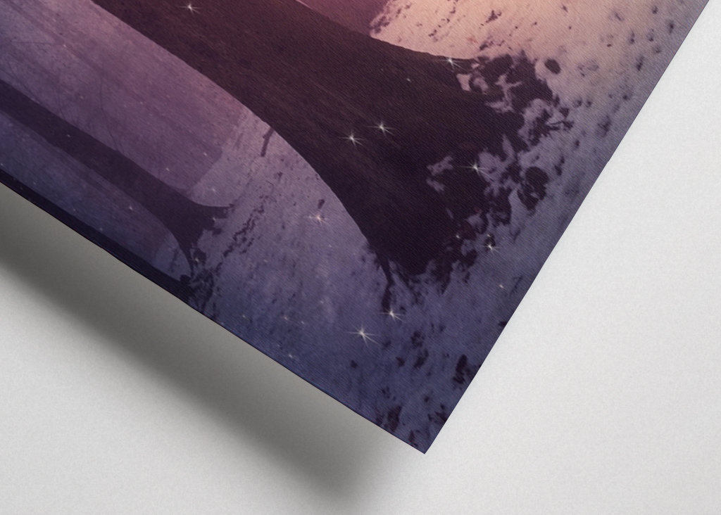 Bosco incantato in inverno