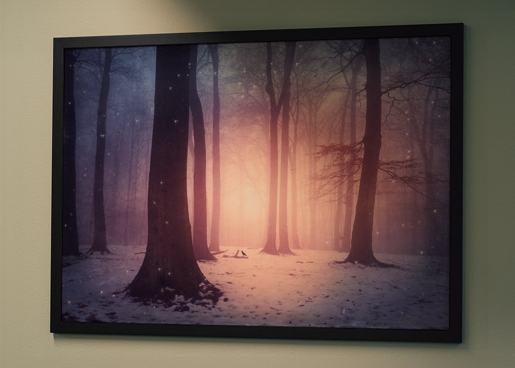 Bosco incantato in inverno