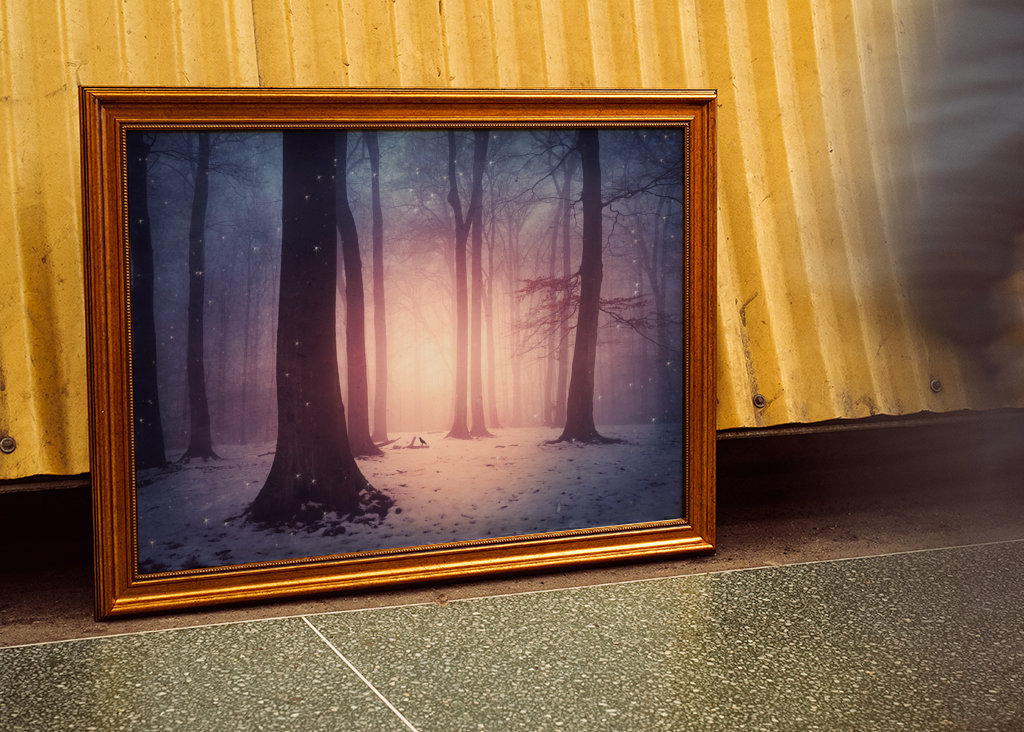 Bosco incantato in inverno