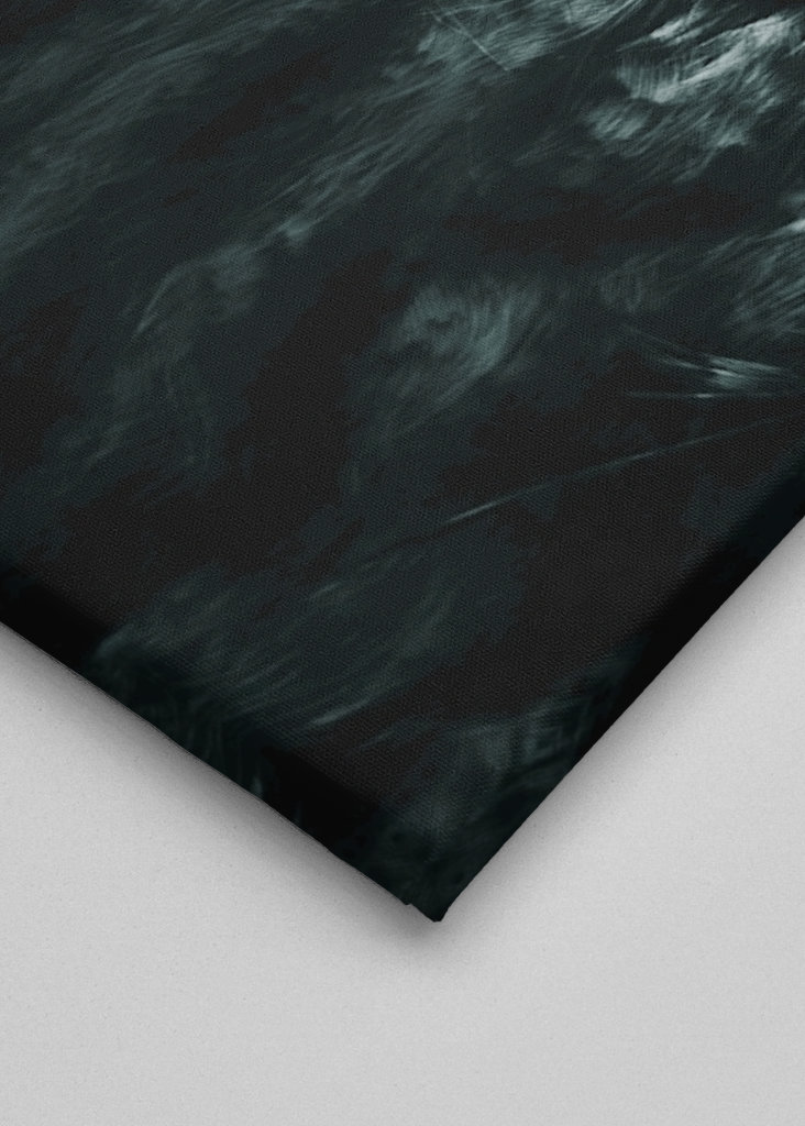 Gran Búho Gris, Blanco y Negro