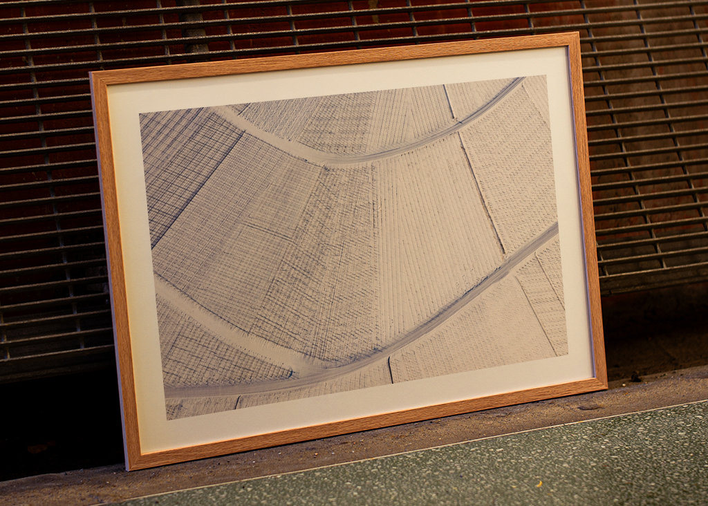 Vignoble en hiver - Stuttgart