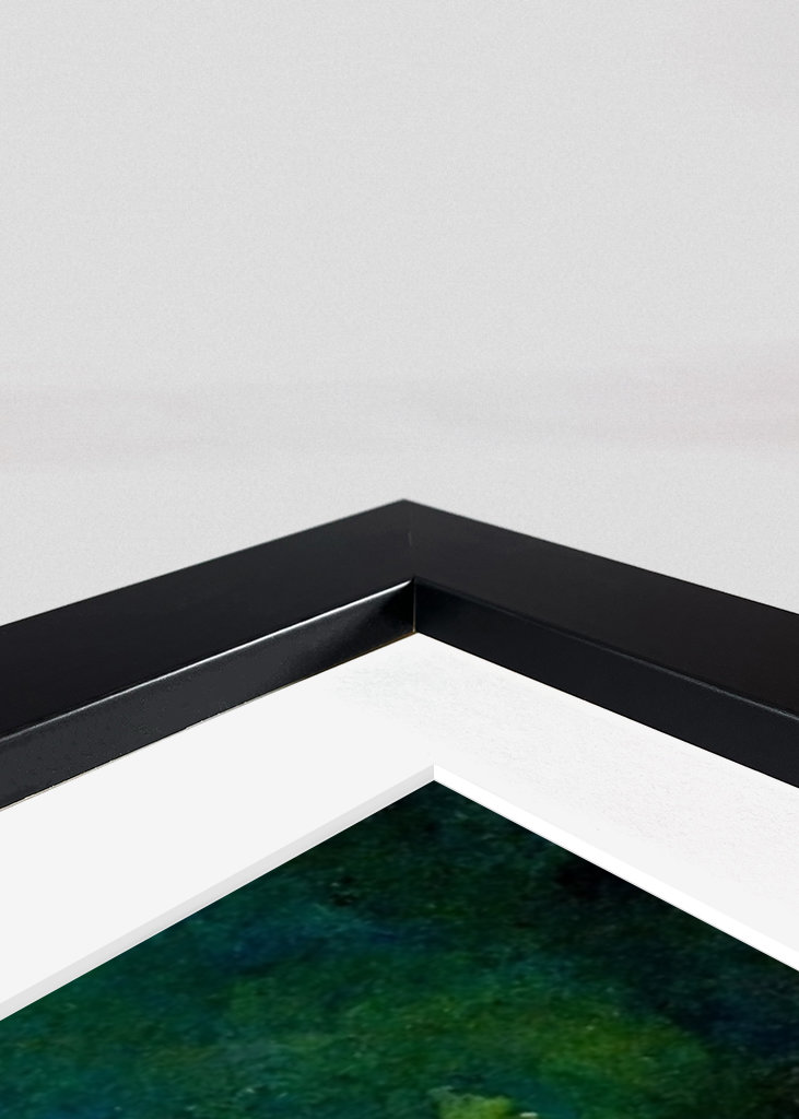 Abstraktní listy #5