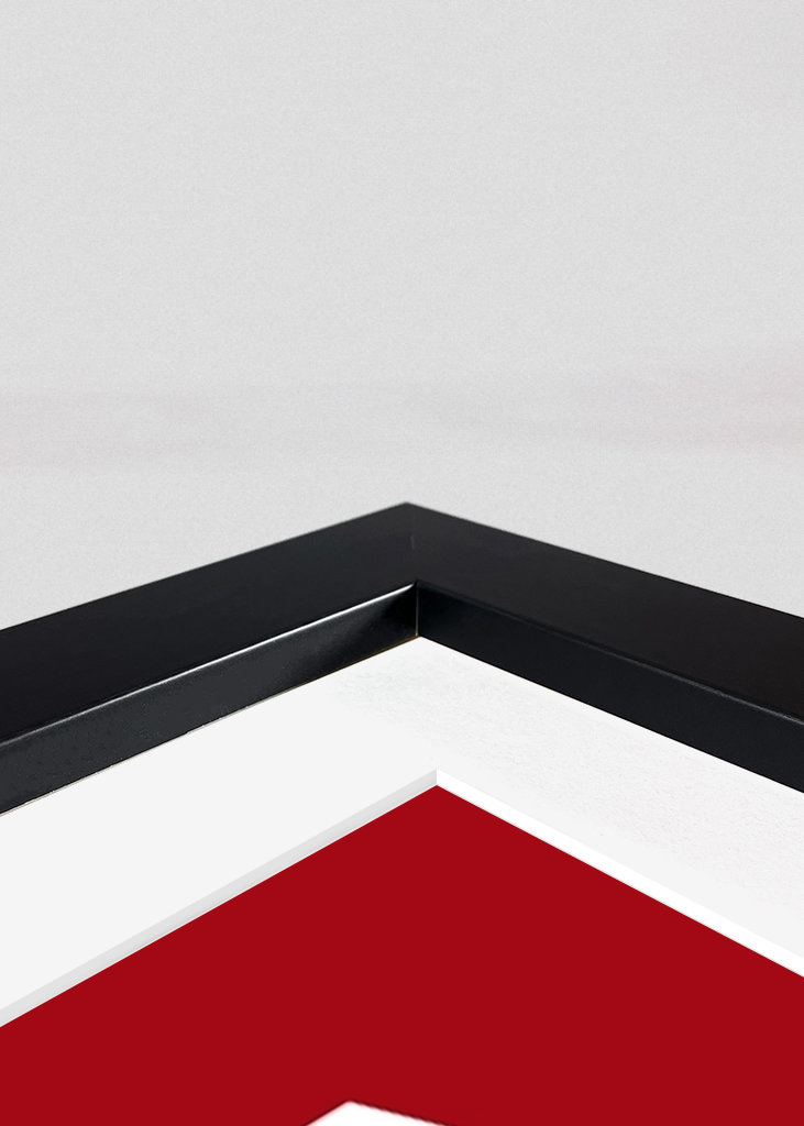 Bella Ciao - Dali Mask