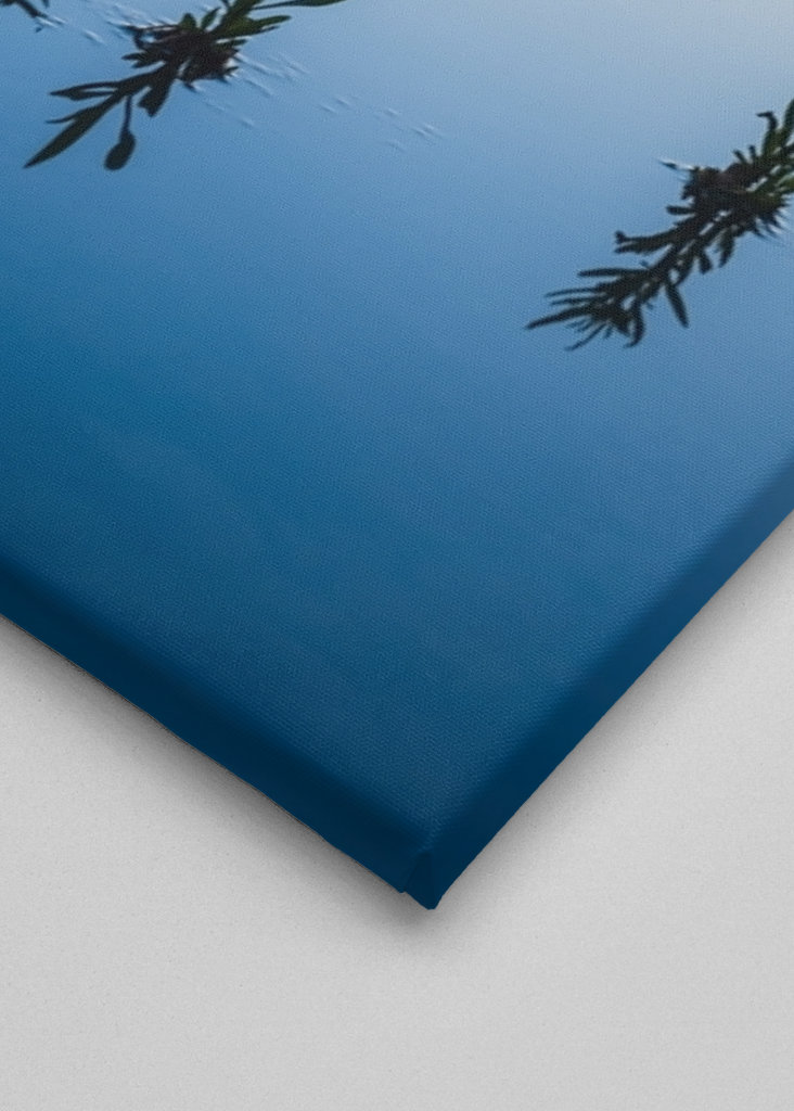 Zonsondergang aan de Waddenzee