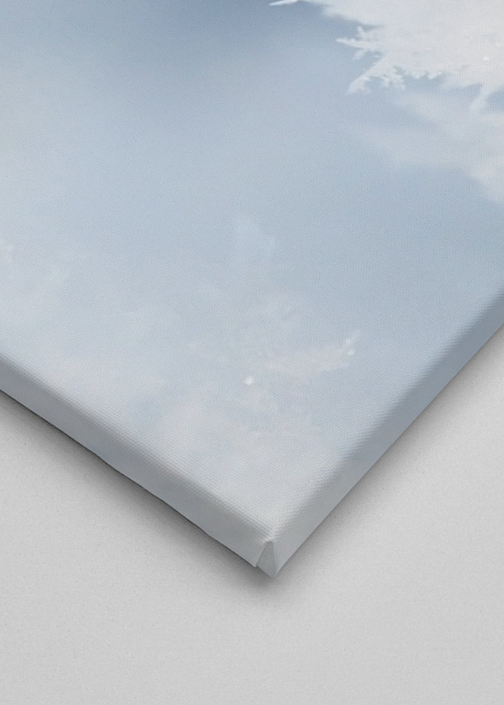 Close up of hoarfrost