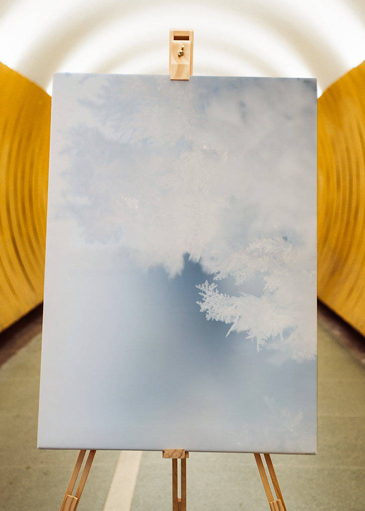 Close up of hoarfrost