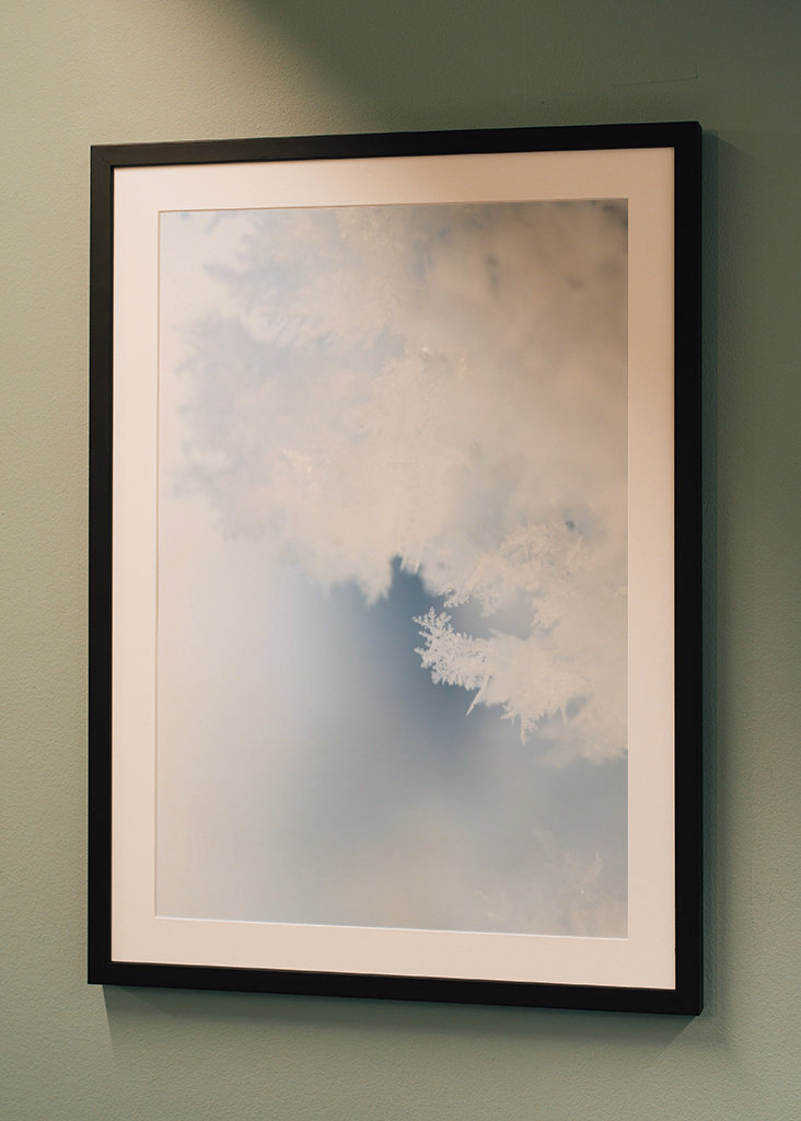 Close up of hoarfrost