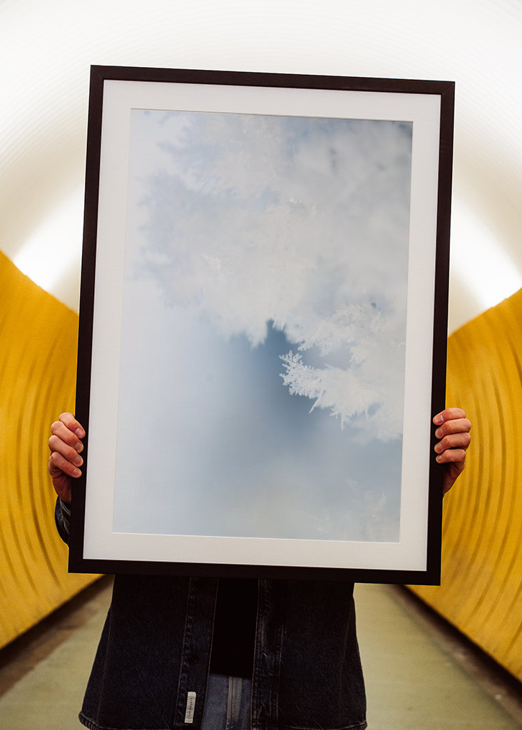 Close up of hoarfrost