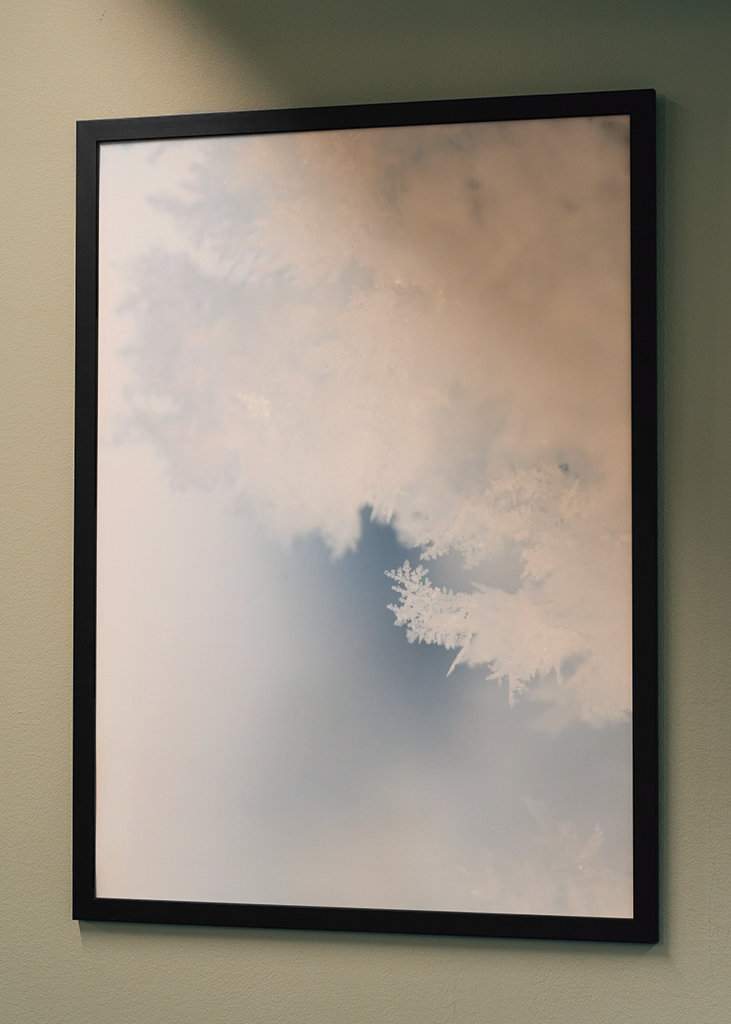 Close up of hoarfrost