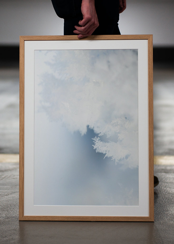 Close up of hoarfrost