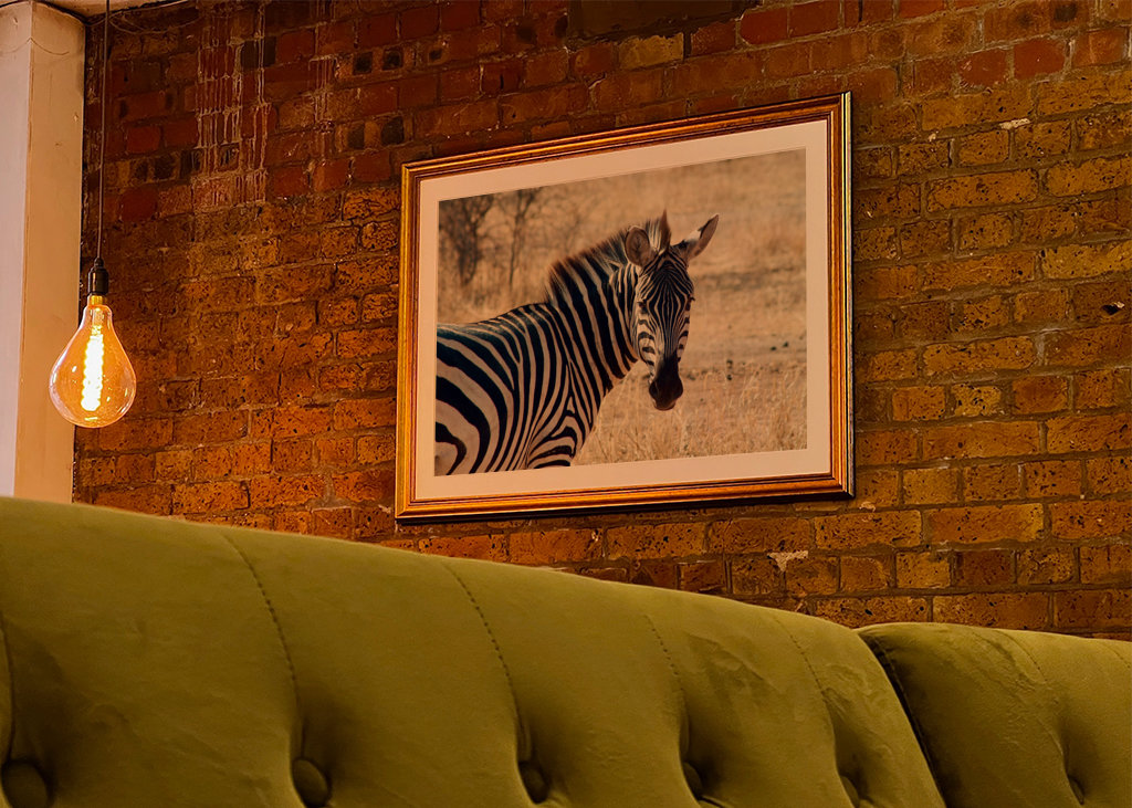 Zèbre dans la savane en Tanzanie