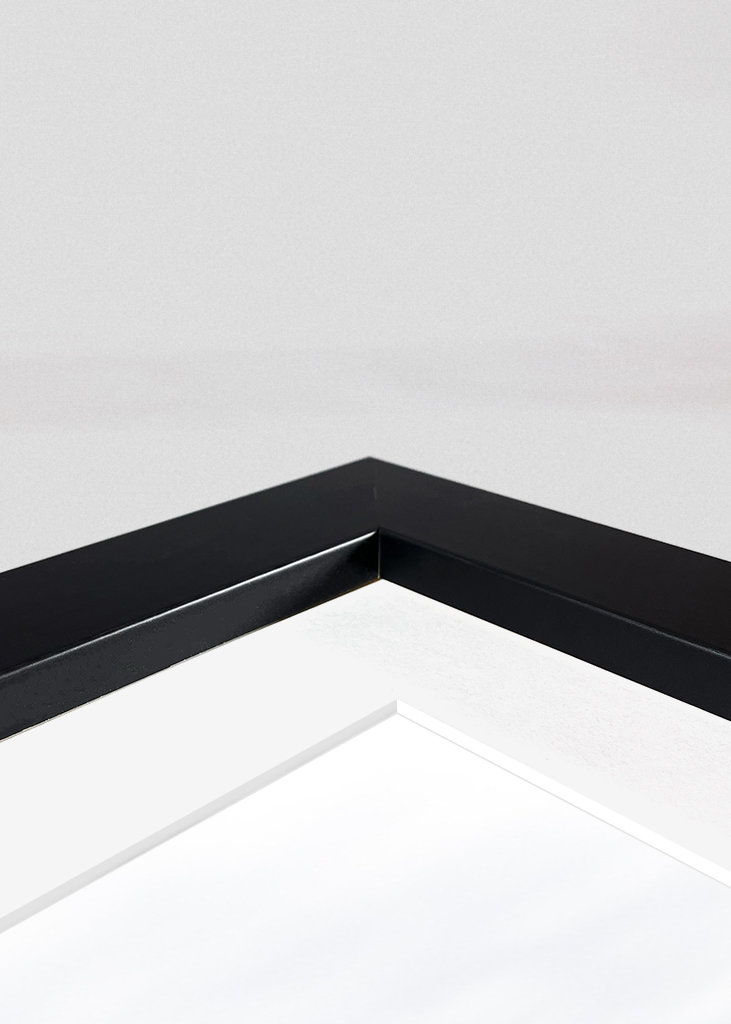 Tufted ducks on a row