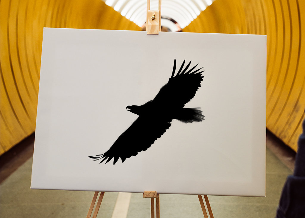 Eagle in silhouette