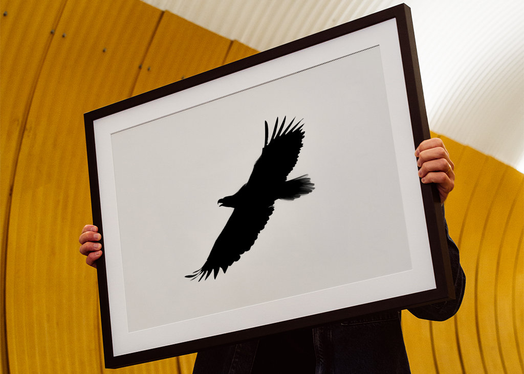 Eagle in silhouette