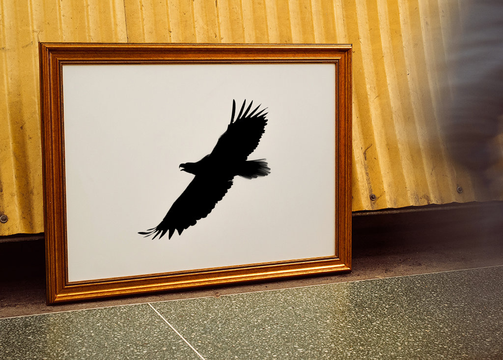 Eagle in silhouette