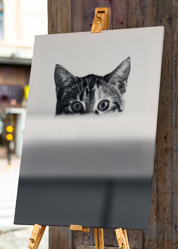 Katze in der Badewanne