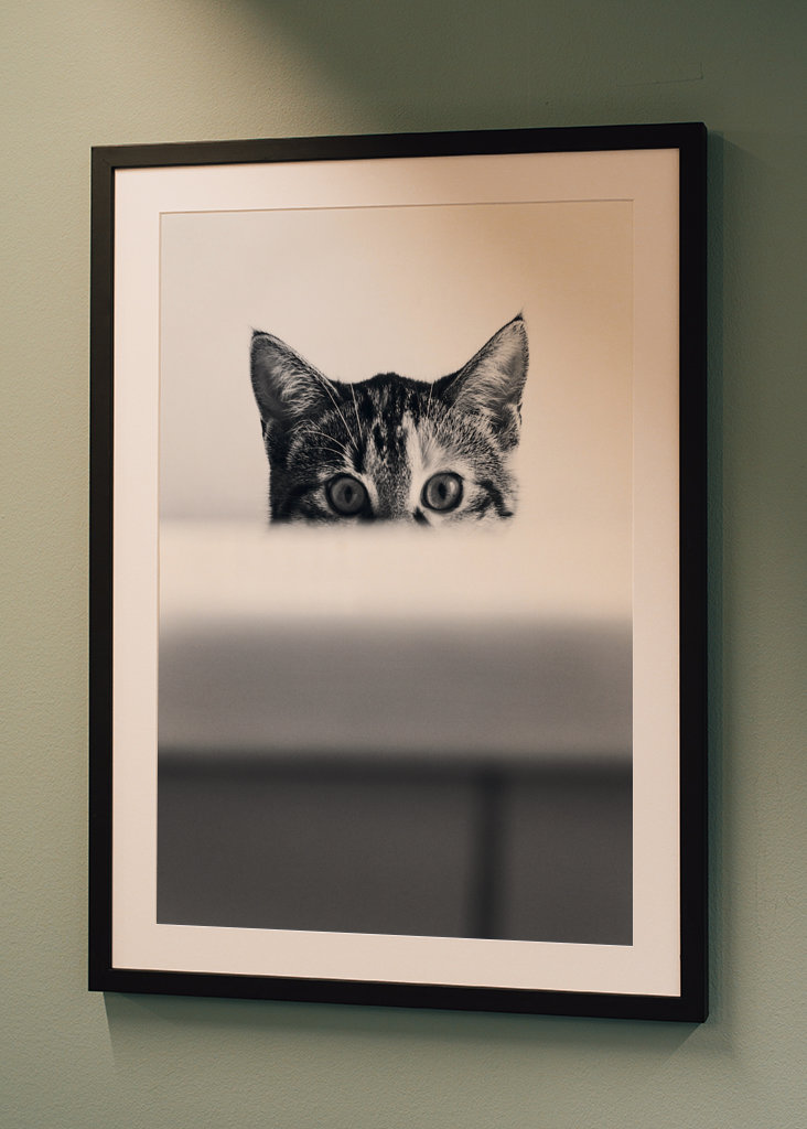 Katze in der Badewanne