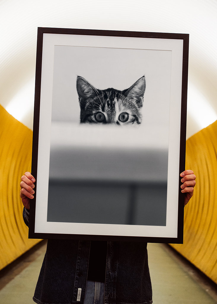 Katze in der Badewanne