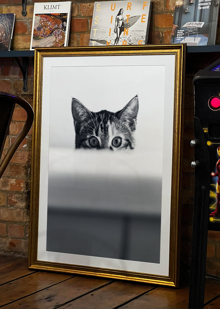 Katze in der Badewanne