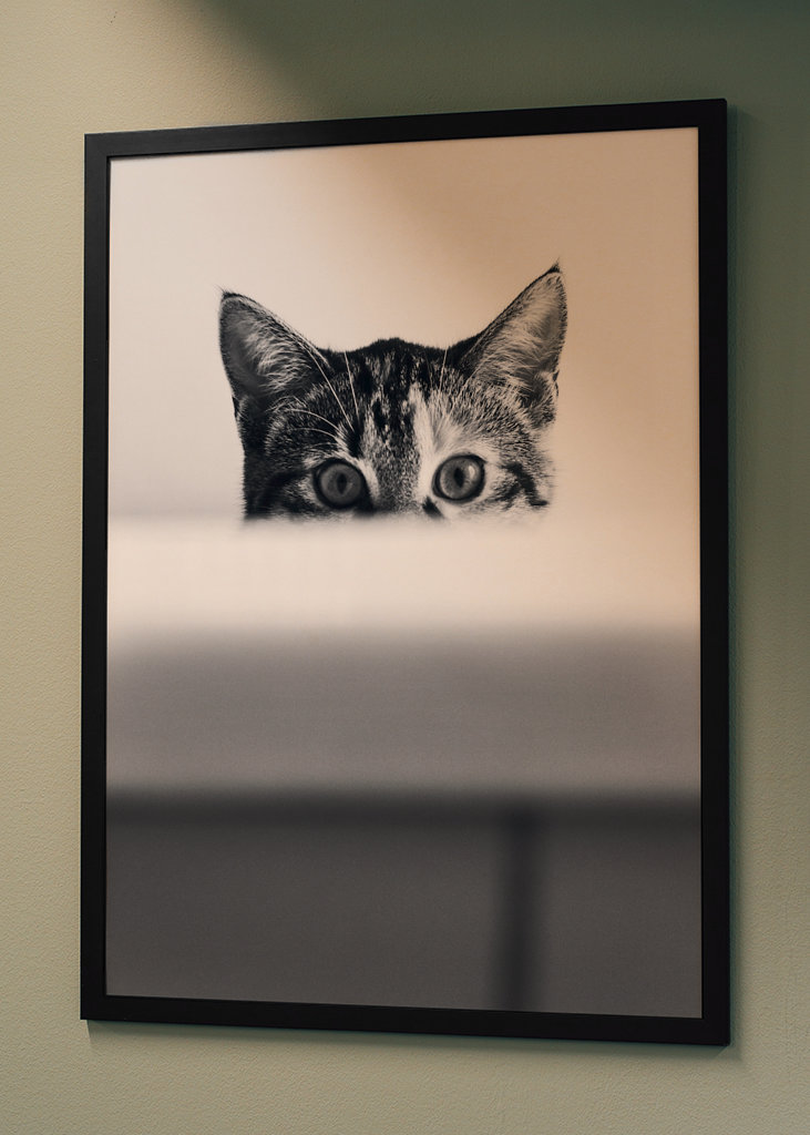 Katze in der Badewanne