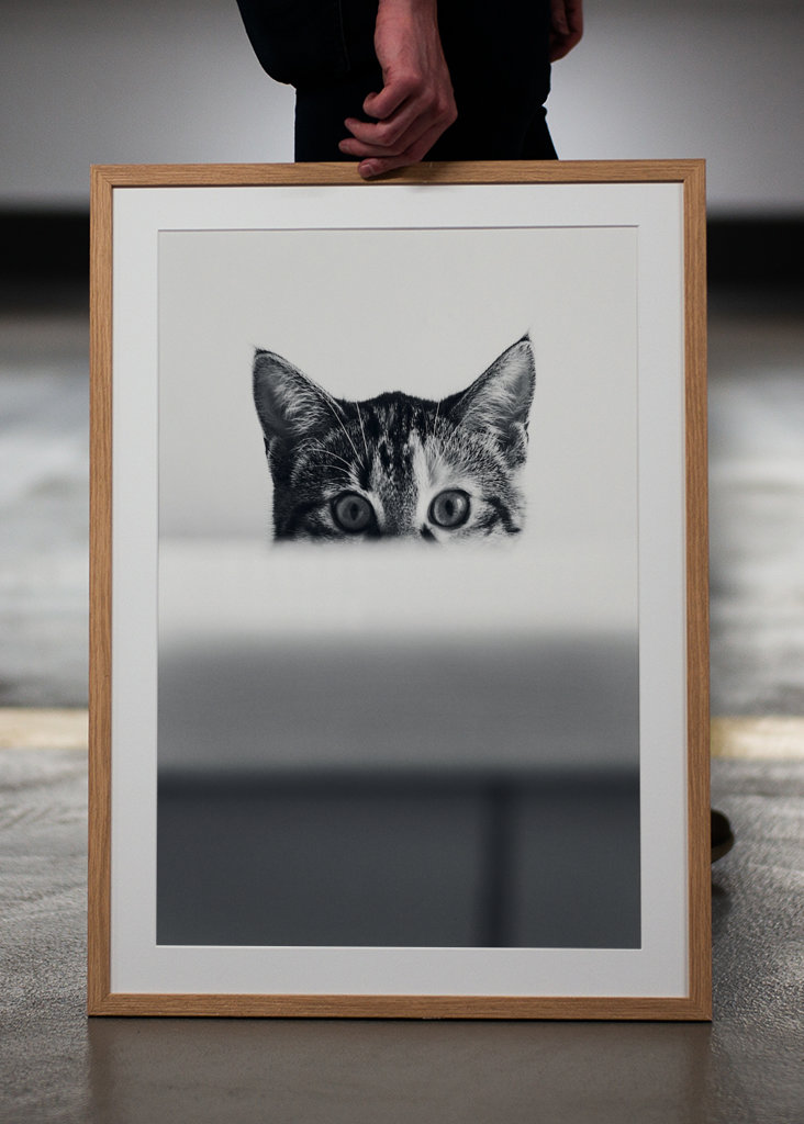 Katze in der Badewanne