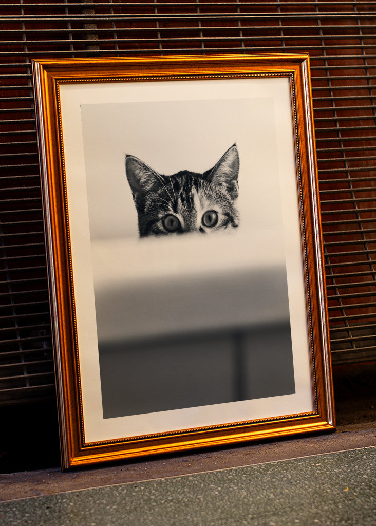 Katze in der Badewanne