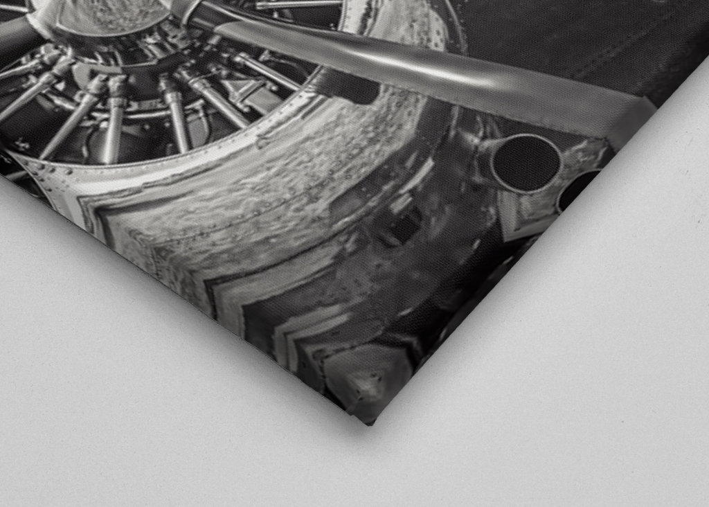 Lockheed Electra nuorempi