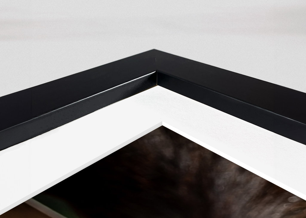 Squirrel looking at you