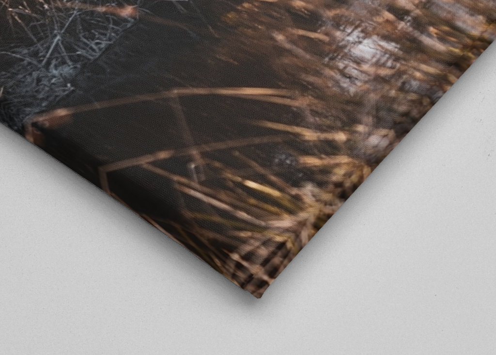 Meklenburská zimní krajina