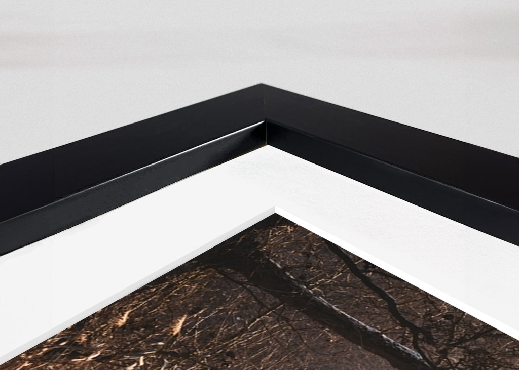 Meklenburská zimní krajina