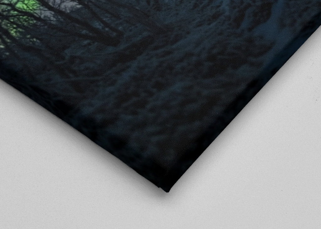 Šípková Růženka