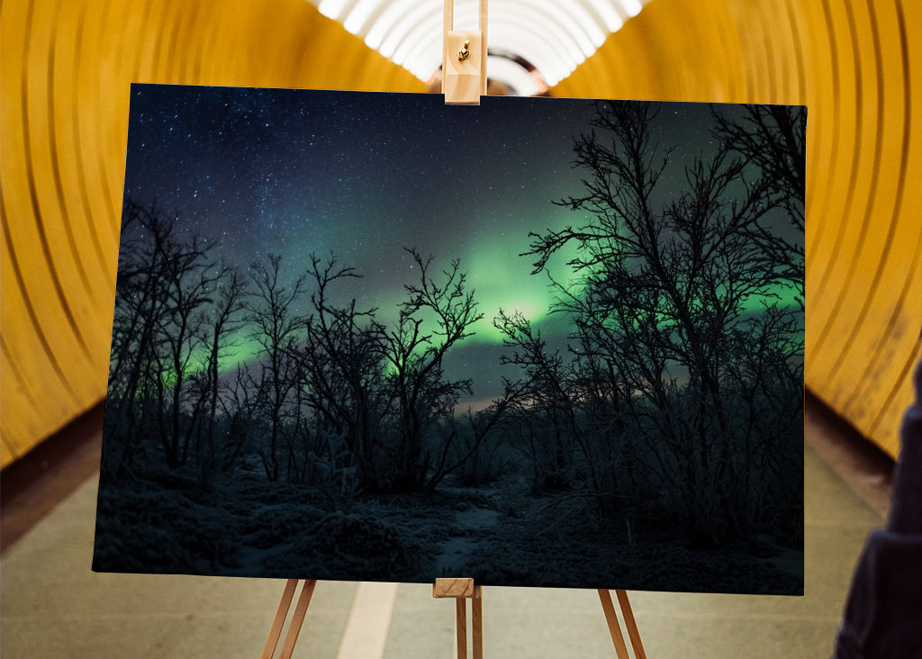 Šípková Růženka