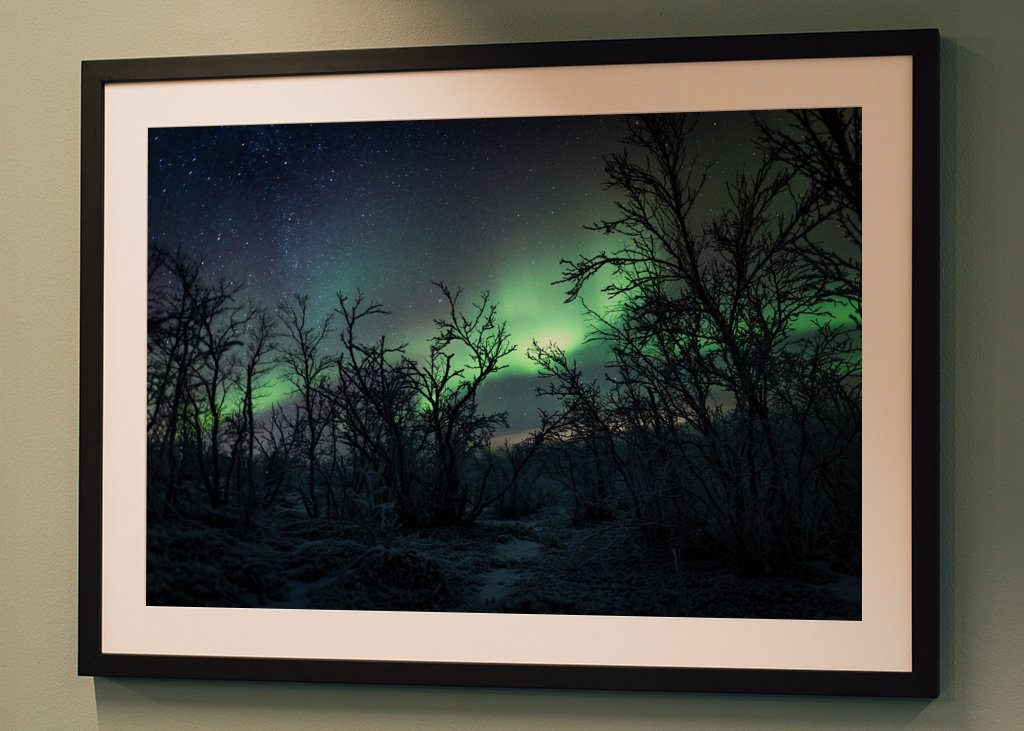 Šípková Růženka