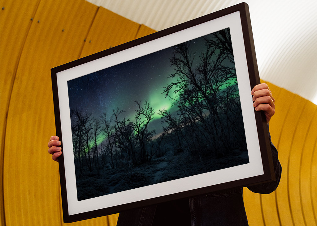 Šípková Růženka