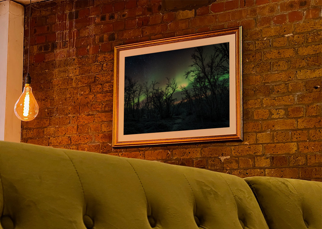 Šípková Růženka