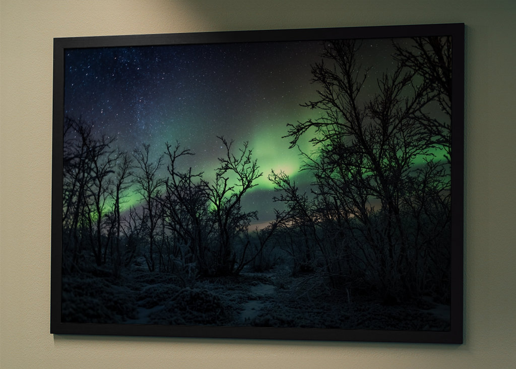 Šípková Růženka