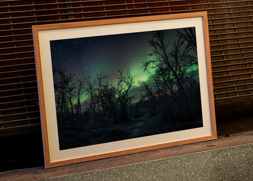 Šípková Růženka