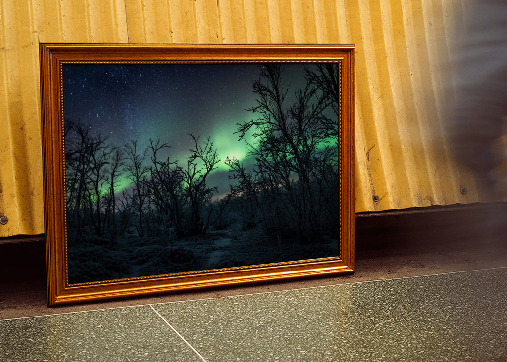 Šípková Růženka