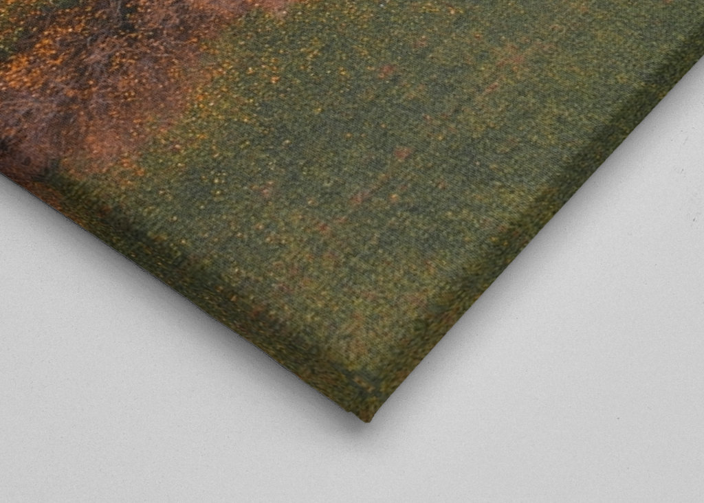 Det er efterår dernede