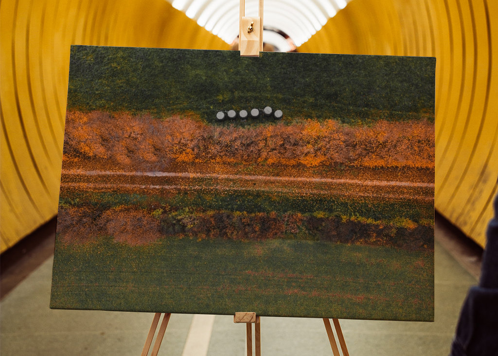 Det er efterår dernede