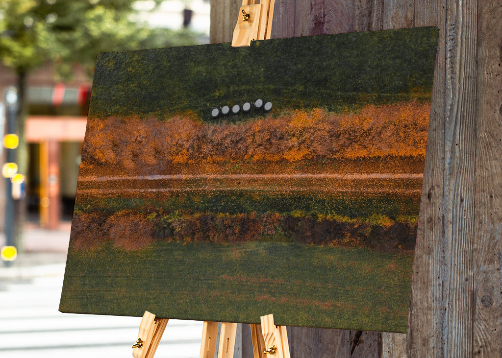 Det er efterår dernede